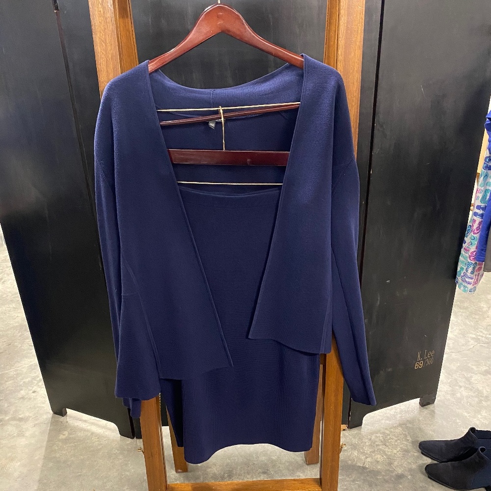 Eileen Fisher Sweater and Skirt Set